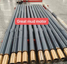downhole motor